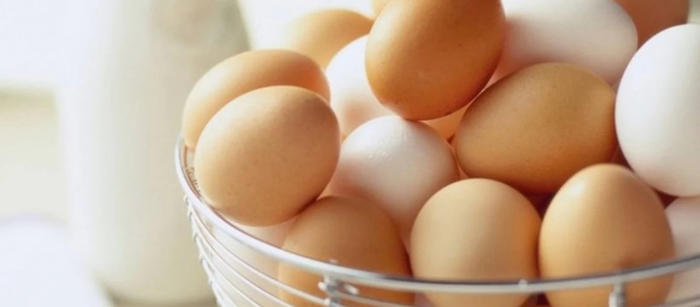 ΕΦΕΤ: Τι να προσέχετε όταν αγοράζετε αβγά